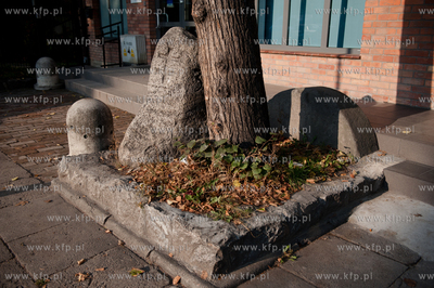 Gdansk. Orunia. Lapidarium Orunskie.
18.10.2011
fot....