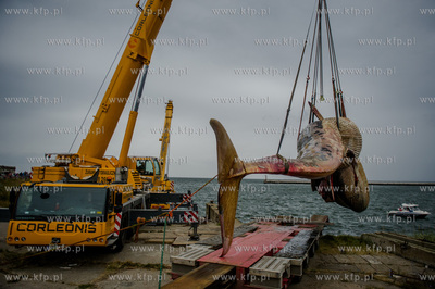 Port Wojenny na Helu. Akcja podnoszenia i transportu,...