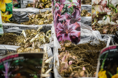 Miedzynarodowe Targi Gdanskie Amber Expo. Free Time...