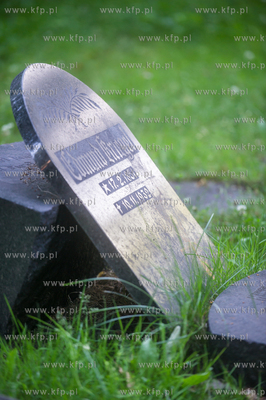 Gdańsk. Lapidarium w parku Akademickim. 17.07.2017...