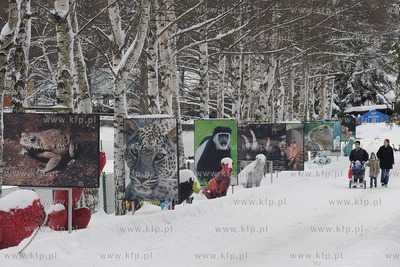 Zima w Miejskim Ogrodzie zoologicznym Wybrzeza w Gdansku...