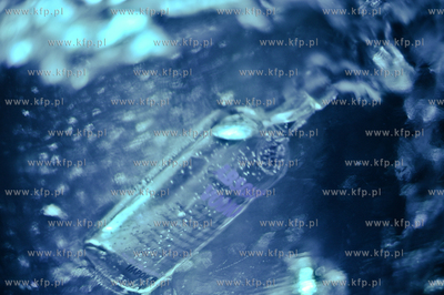 Otwarcie Ice Baru w Cafe Ferber przy ulicy Bohaterow...