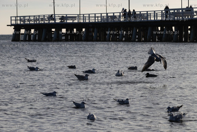 Molo w Gdyni Orłowie. 
17.01.2025
fot. Daniel Słoboda...