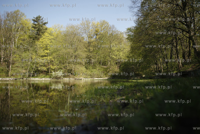 Sopockie Morskie Oko czyli Staw Nowowiejskiego malowniczy...