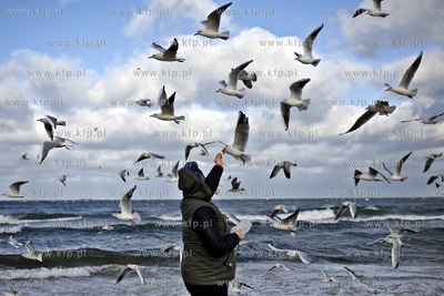 Silne podmuchy wiatru w Gdańsku Brzeźnie. 08.11.2015...