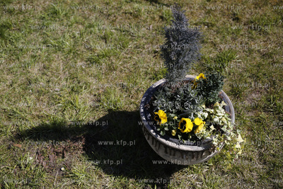 Zespół Szkół Architektury Krajobrazu i Handlowo-Usługowychw...