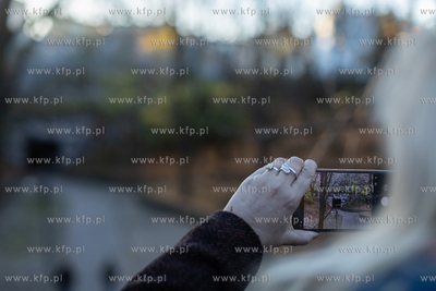 Sopocki Weekend Sztuki. Spacer zlakiem sopockich murali.
15.11.2025
fot....