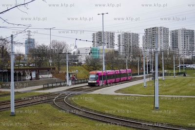 Pętla tramwajowa Zaspa. 07.11.2024 fot. Paweł Marcinko...