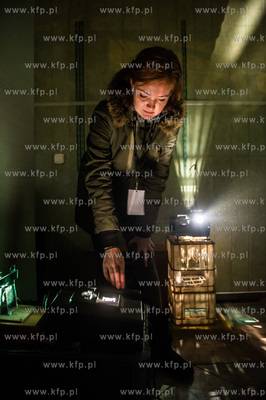 Gdansk. Wrzeszcz. Festiwal artystycznych instalacji...