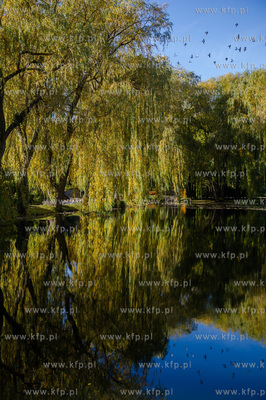 Gdansk. Jesienne, sloneczne przedpoludnie w Parku Orunskim.
27.10.2015
fot....