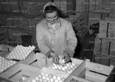 Pakownie jajek w zakładach drobiarskich. ( lata60...