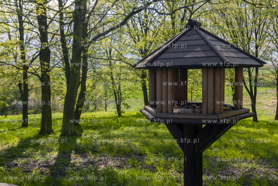 Podworski park w Arciszewie w Gminie Pruszcz Gdański....