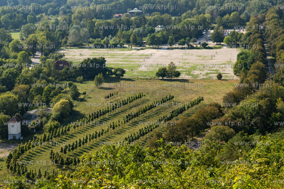 Gdańsk Oliwa, Pachołek. 17.09.2024 Fot. Anna Bobrowska...