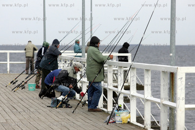Wedkarze lowiacy belone z mola w Gdyni Orlowie. 18.05.2005...