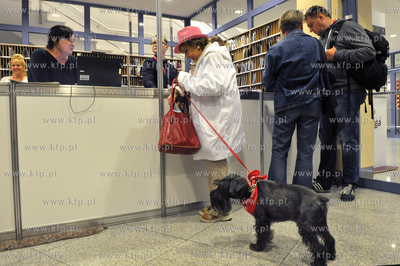 Festiwal Filmowy w Gdyni.  Recepcja i informacja festiwalu....