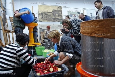 Żuławski Park Historyczny w Nowym Dworze Gdanskim....