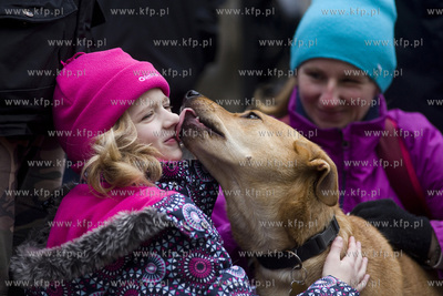 Spacer podopiecznych gdańskiego schroniska Promyk...