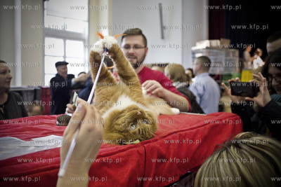 Technikum Łączności w Gdańsku. Międzynanarodowa...