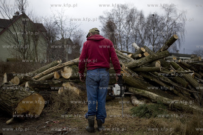 Wycinka drzew przy ul. Kochanowskiego w Gdańsku.
28.02.2017
fot....