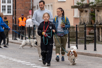 Święto Ulicy Ogarnej, podczas którego, w ramach...