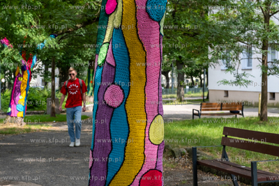 Gdańsk, Strzyża. Plac Gen. Maczka. Nz. Drzewa ozdobione...