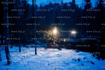 Gdansk. Rebiechowo. Nocna wycinka drzew pod budowe...