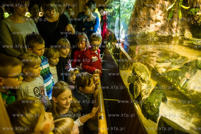 Akwarium Gdynskie. Tydzien Rekina oraz Dni Otwarte...