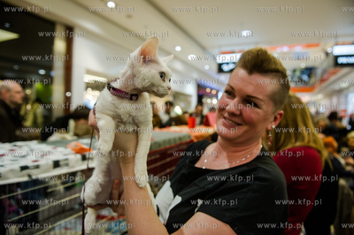 Gdansk. Wrzeszcz. Dzien Kota w CH Galeria Baltycka.
21.02.2016
fot....