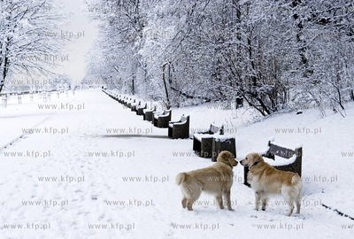 Gdynia, Bulwar Nadmorski. Snieg na pozegnanie zimy....