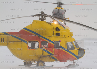 Gdansk, Rebiechowo. W dniu dzisiejszym przylecial nowy...