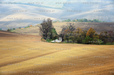 Morawy. Czechy. Okolice miejscowosci Kijev. Nz. pola...