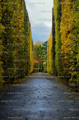 Gdansk Oliwa Park. Fragment parku z basenem parkowym....