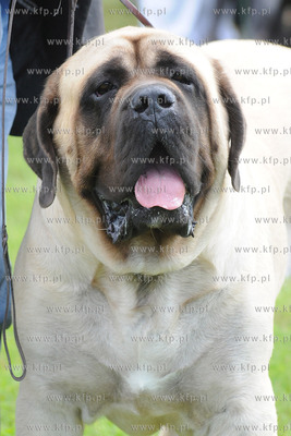 W Zespole Dworsko - Parkowym  w Gdyni Kolibkach odbyla...