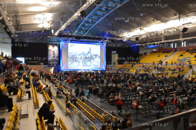 Gdynia Arena. 16. Ogolnopolskie Spotkania Podroznikow,...