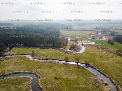 Wierzyca - rzeka w północnej Polsce, lewy dopływ...