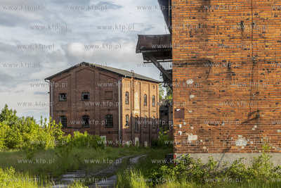 Botaniczny Pruszcz. Spacer badawczy śladem roślin...