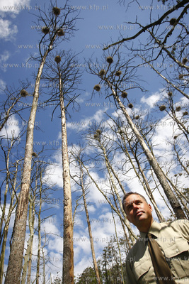 Rezerwat ornitologiczny w Katach Rybackich. Nz Wojciech...