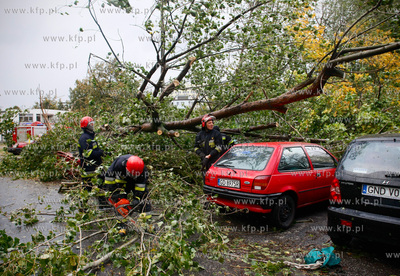 Gdansk. Wichura. Nz na powalone trzy drzewa na ulicy...