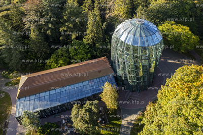 Palmiarnia w Parku Oliwskim. 01.10.2024 fot. Paweł...