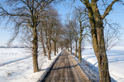 Zima na Żuławach. Pola w okolicach Palczewa. 18.01.2026...
