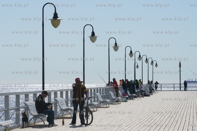 Gdynia Orłowo. Połów ryby belona. 22.05.2020 / fot....