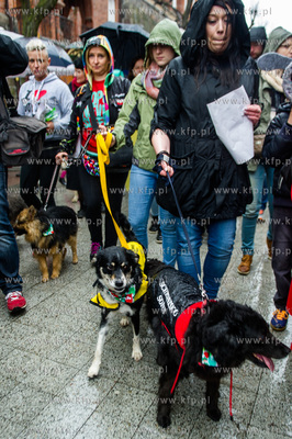 Sopocka Majowka. Parada Zwierzat - Krol Lew i jego...