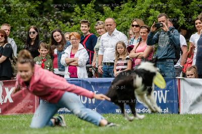 Sopot. Łazienki Połnocne. Zawody Latających Psów.
Nz...