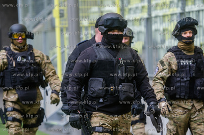 Stadion Energa Gdańsk. Ćwiczenia służb ratowniczych...