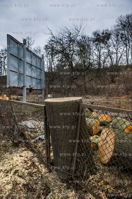 Gdańsk. Wycięte drzewa na jednej z działek przy...