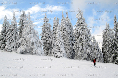 Korbielo. Osrodek Narciarski Pilsko. 11.01.2013 fot....