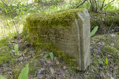 Cmentarz dawnej gminy żydowskiej w Skarszewach, założony...