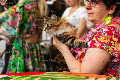 Międzynarodowa wystawa kotów rasowych "Koty na Hawajach"...