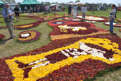 Zulawski Tulipan -  piata edycja imprezy zorganizowanej...