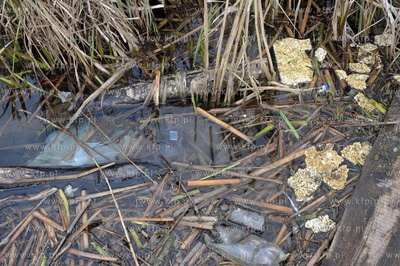 Gdansk. Staw Wrobla, dzielnica Piecki Migowo. Spoleczna...